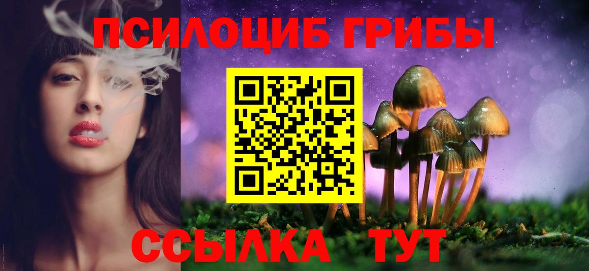 Зима  где можно купить наркотик  Вход с VPN  Псилоцибиновые грибы Psilocybine cubensis 